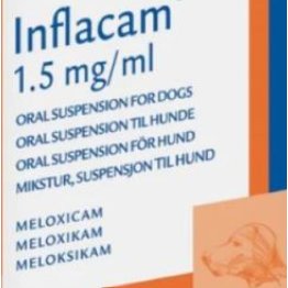 Inflacam 1.5mg/mL oral suspension for dogs Inflacam 1.5mg/mL oral suspension for dogs