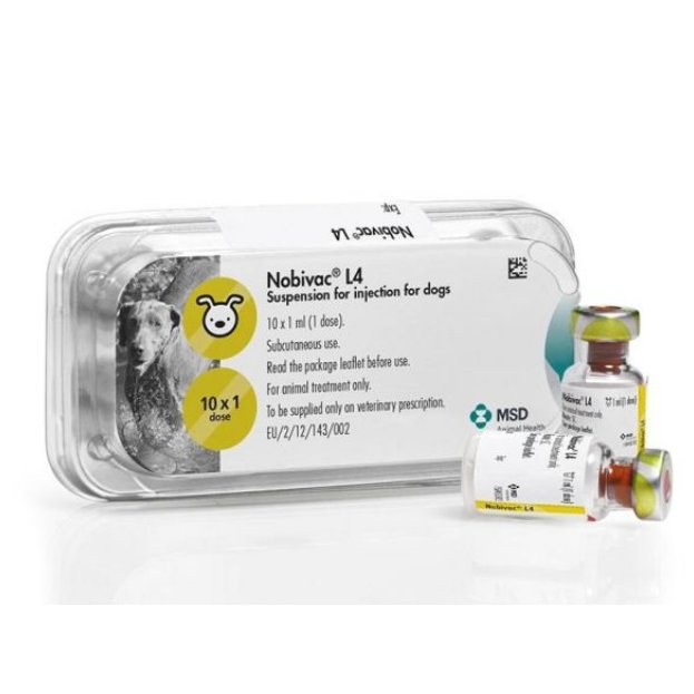 Nobivac Lepto 4 (L4) injection for dogs 1s POM-V (Fridge) Nobivac Lepto 4 (L4) injection for dogs 1s POM-V (Fridge)