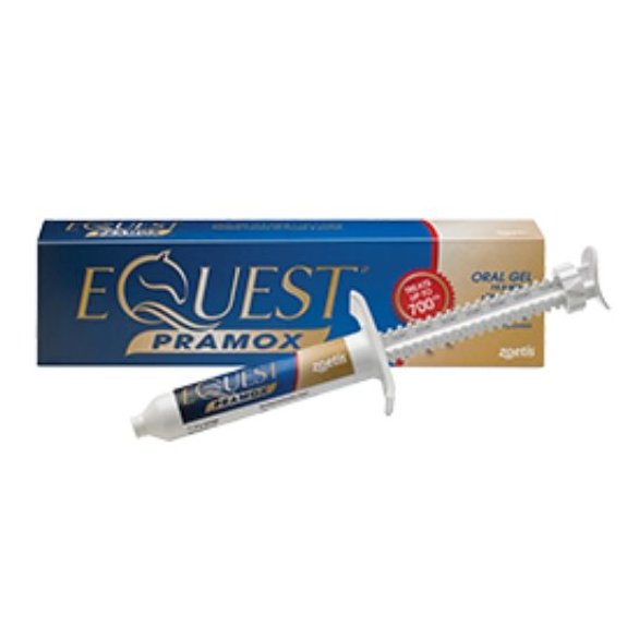 Equest Pramox 19.5 mg/g + 121.7 mg/g oral gel (POM-VPS) Equest Pramox 19.5 mg/g + 121.7 mg/g oral gel (POM-VPS)