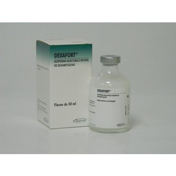 Dexafort 50ml, POM-V