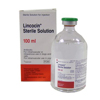 Lincocin Sterile Solution 100ml, POM-V