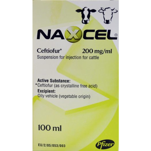 Naxcel 200mg/ml 100ml Cattle, POM-V