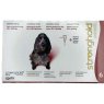 Stronghold Spot On Dog POM-V Stronghold Spot On Dog POM-V