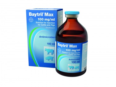 Baytril Max 100mg/ml Injection for cattle & pigs 100ml, POM-V