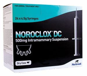 Noroclox DC 24 pack, POM-V