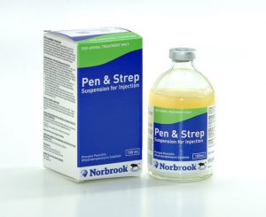 Pen & Strep Injection 100ml, POM-V