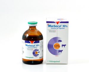 Marbocyl 10% 100ml, POM-V