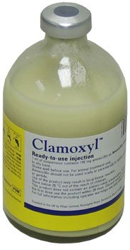 Clamoxyl RTU injection 250ml, POM-V
