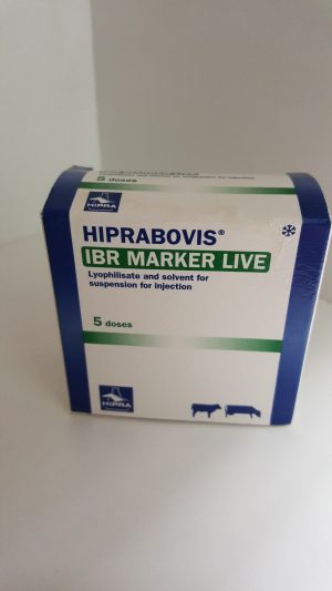 Hiprabovis Marker Live IBR 5dose, POM-V