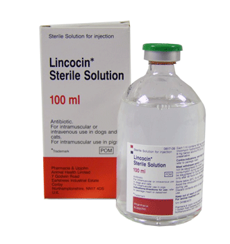 Lincocin Sterile Solution 100ml, POM-V
