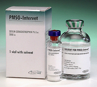 PMSg Powder + solvent 5000IU each, POM-V