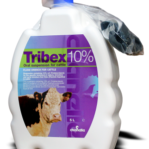 Tribex 10% oral drench for cattle 5L, POM-VPS