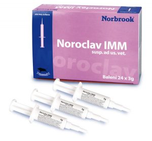 Noroclav LC 24 pack, POM-V