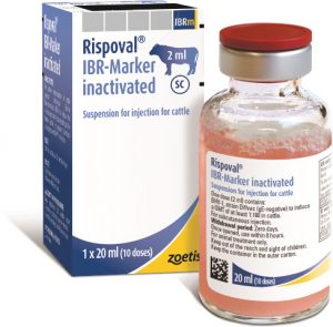 Rispoval IBR Marker (inactivated) 50 dose, POM-V