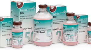 Bovilis BVD 10 dose, POM-V