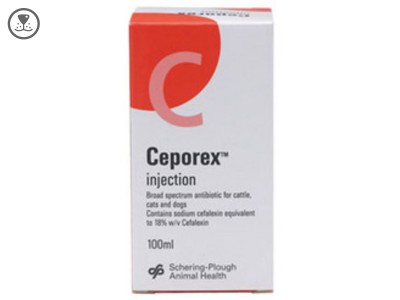 Ceporex 180mg/ml Injection 100ml, POM-V