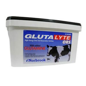 Glutalyte for calves 24 pack,