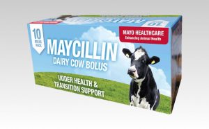 Maycillin Bolus