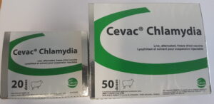 CEVAC Chlamydia