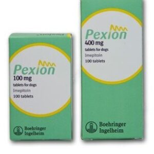 Pexion for dogs