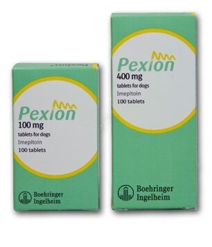 Pexion for dogs